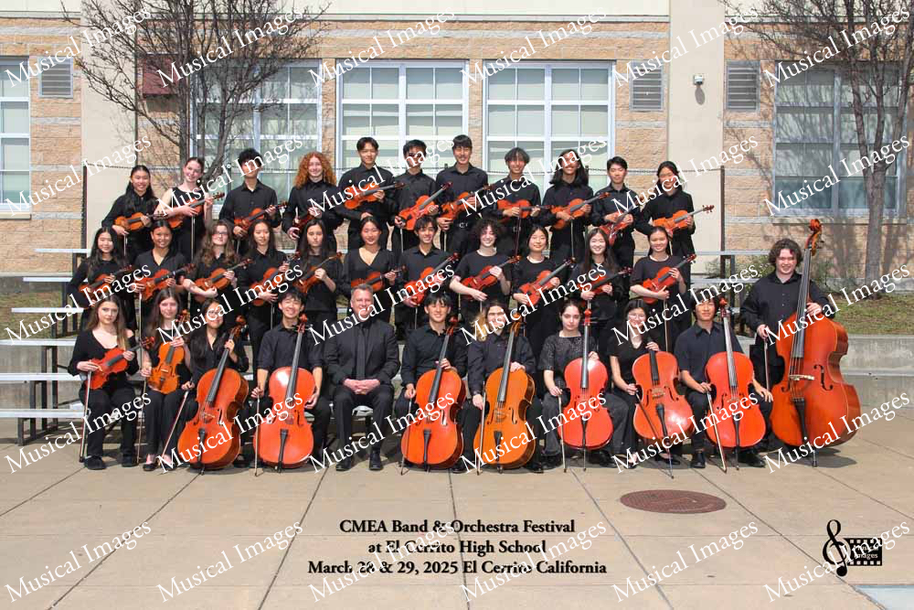 Musical Images